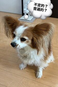 不変的？普遍的？　[ 営業部　加藤 ]　2026/2/4